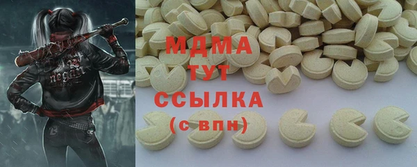 индика Сатка